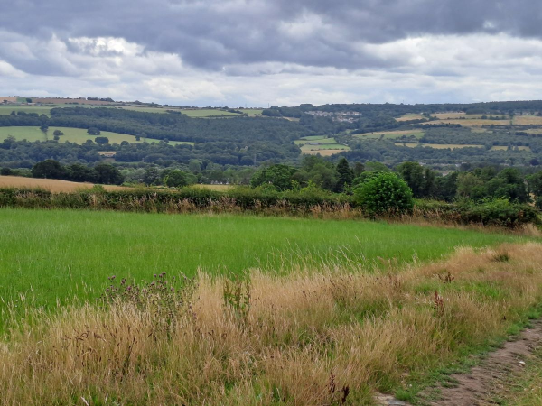 Field
